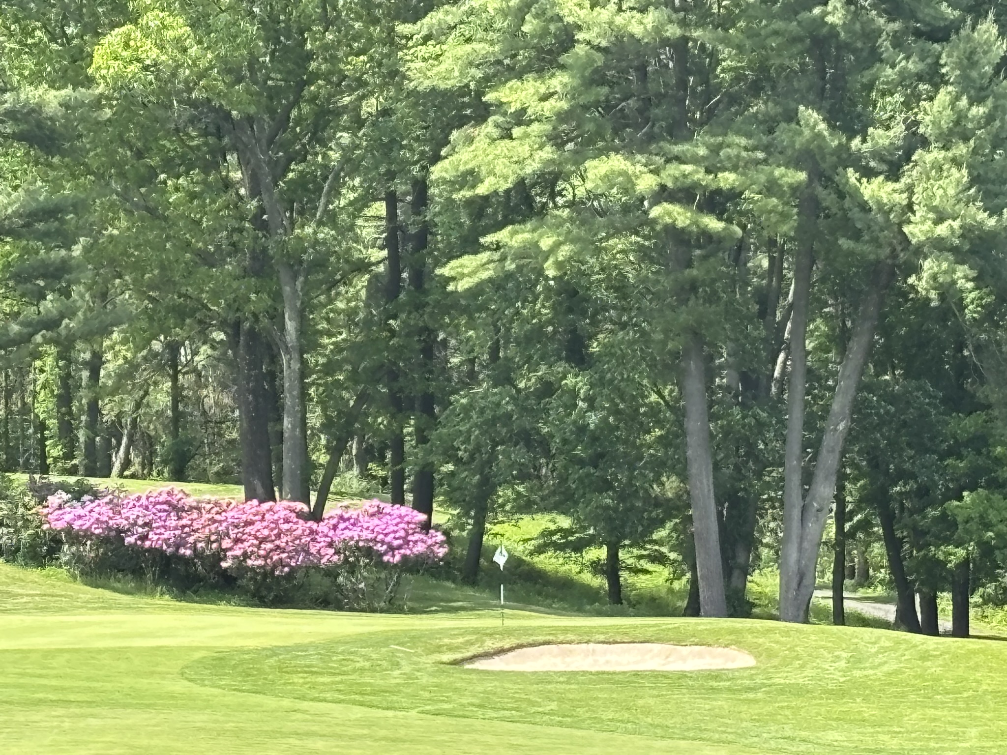 6th Hole at Albany Country Club in Voorheesville