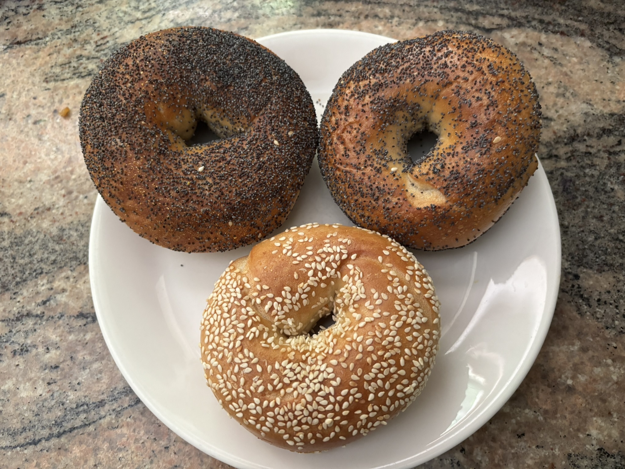 Bagels from Cookie Factory in Troy, New York