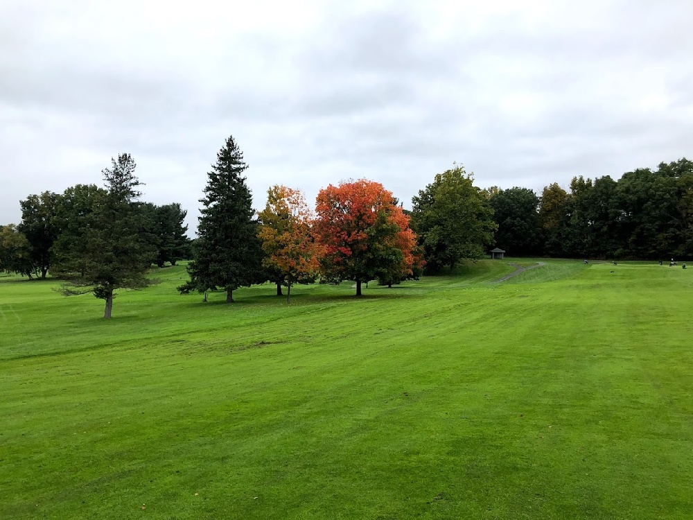 Golf Courses and Country Clubs