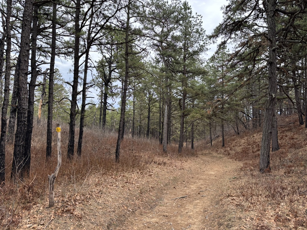 Pine Bush Preserve Hiking Trails