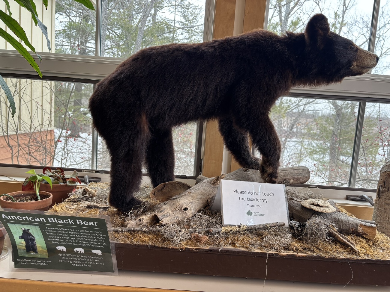 The Emma Treadwell Thacher Nature Center